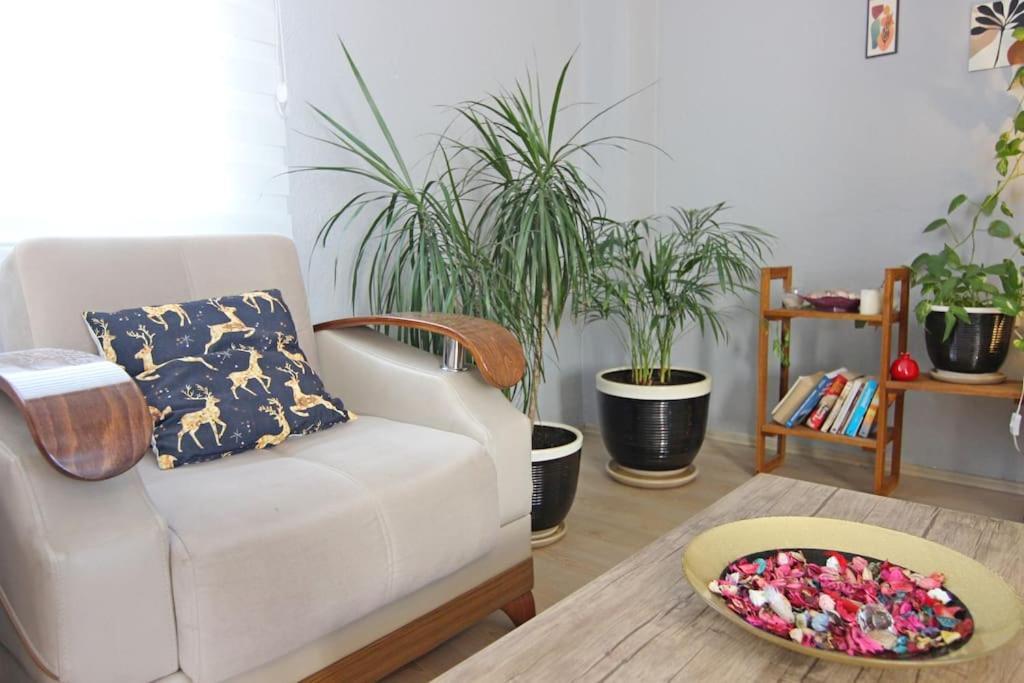 Ozkan Apartment - Fethiye Center Fully Furnished 50Mbps Wifi Netflix ภายนอก รูปภาพ